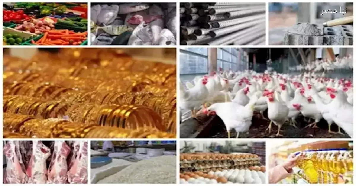 الأسعار مولّعة.. الذهب يرتفع والبيض واللحوم يتراجعان بشكل ملحوظ
